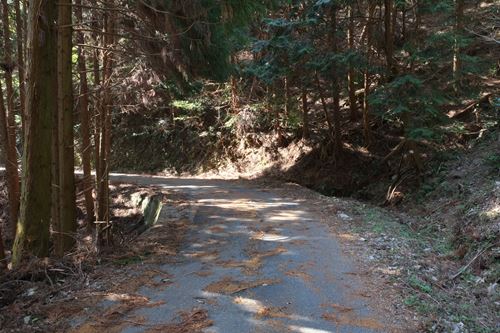 尉ヶ峰林道